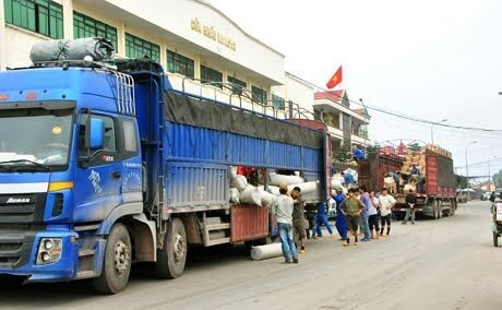 dich-vu-cuu-van-hoang-mai.